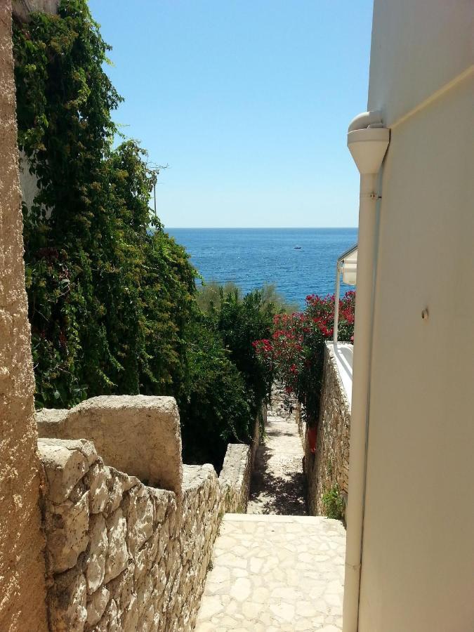 マリッティマ Perla Sul Mare Adriaticoヴィラ エクステリア 写真